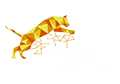 Tiger Pay