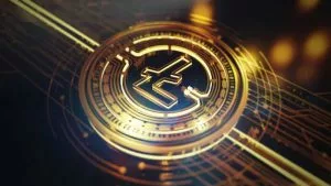 オンラインカジノ ライトコインの入出金方法を解説 2025